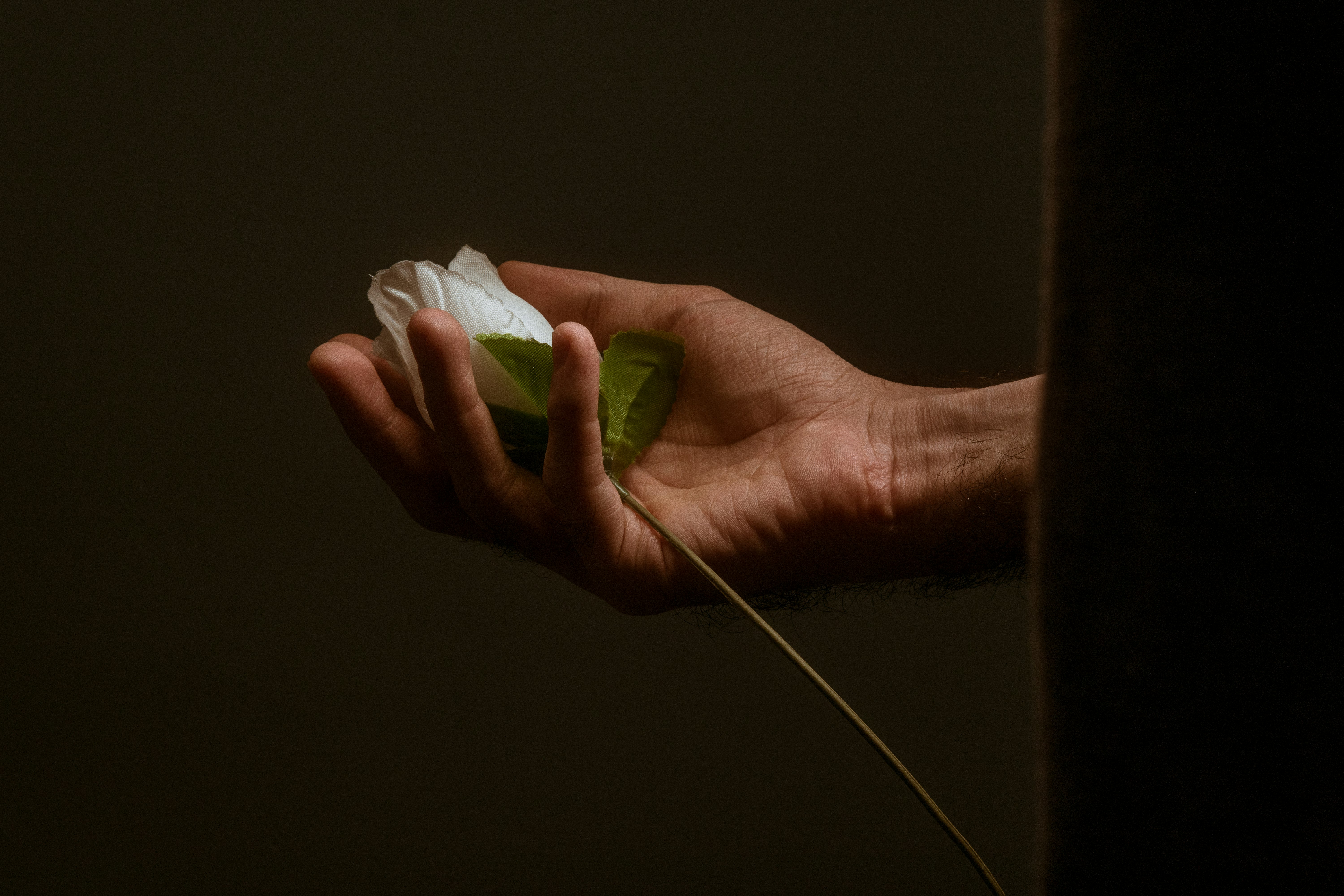 person holding white paper with green leaves